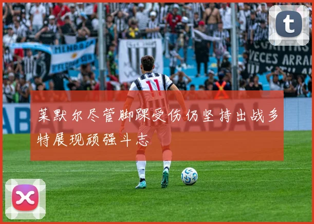 莱默尔尽管脚踝受伤仍坚持出战多特展现顽强斗志