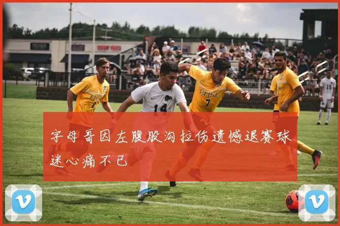 字母哥因左腹股沟拉伤遗憾退赛球迷心痛不已