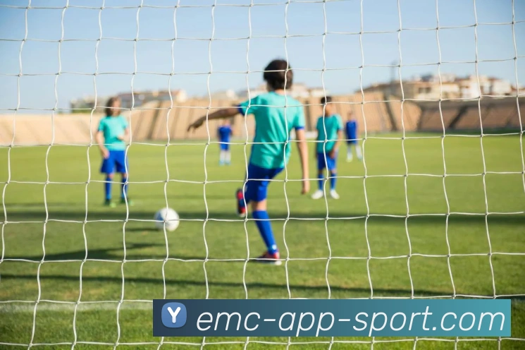 易倍体育APP 封面图